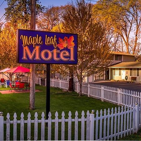 Maple Leaf Motel Shady Cove Buitenkant foto